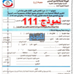 نموذج 111