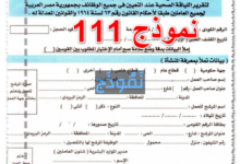 نموذج 111