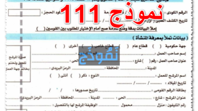 نموذج 111